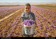 پای زعفران به شورای تامین باز شد