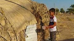گزارش تصویری از توزیع گوشت در بین نیازمندان جنوب کرمان 