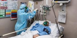 ۵۶۰ بیمار مبتلا به کرونا در بیمارستان های قزوین بستری هستند