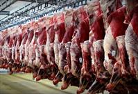 قربانی ۲۰ راس گوسفند و توزیع بین نیازمندان گچساران