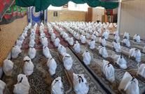 موکب شهدای صنعت مس رفسنجان ۲۰۰ بسته معیشتی توزیع کرد