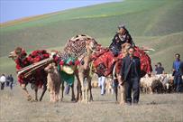 رشد ۲۳ درصدی شاخص بهداشت عشایر فارس راه اندازی کانکس های سیار بهداشت