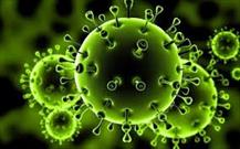 ۹۱ مورد جدید از ابتلا به کرونا ویروس در ایلام شناسایی شد/ ۵ مورد فوتی