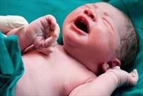 تولد ۲۱۸ نوزاد در آخرین تاریخ رُند قرن در گلستان