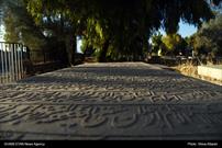 گزارش تصویری| قبرستان قدیمی «دارالسلام» شیراز