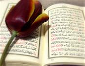 تعالی زندگی فردی و اجتماعی با قرآن