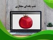 بچه مسجدی ها پویش مجازی یلدا را برگزار کردند  