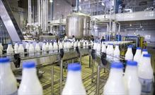 روزانه ۴۰ تُن شیر به کارخانجات عرضه می شود
