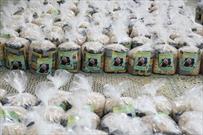 ۱۶ هزار بسته معیشتی در طرح شهید سلیمانی توزیع می شود