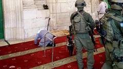 یورش صهیونیست ها با کفش به مصلای «باب الرحمه» مسجدالاقصی