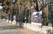افتتاحیه نمایشگاه عکس «فرمانده من»
