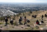 گزارش تصویری| پویش مردمی طرح زاگرس سبز و کاشت بذر گیاهان بومی در ارتفاعات شیراز