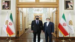 قائم مقام وزیر امور خارجه کره جنوبی با عراقچی دیدار کرد