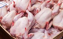 توزیع یک تن مرغ گرم میان واحدهای مرغ فروشی در ارسنجان