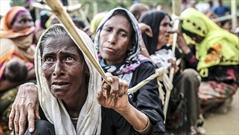 انتقال گروه جدید مسلمانان روهینگیا به جزیره دورافتاده در سایه ناتوانی شورای امنیت