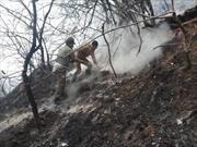 مهار آتش در پارک ملی گلستان