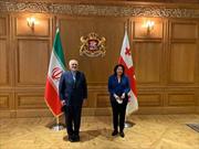 ظریف با رییس جمهور گرجستان دیدار کرد