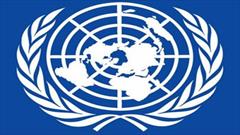 سازمان ملل باید به دنبال راه‌حلی پایدار برای خاتمه دادن به بحران فلسطین باشد