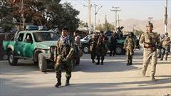۳۰ عضو طالبان با یک بمب دست ساز خود کشته شدند