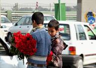 سامان دهی ۸۵۵ کودک کار و خیابان در فارس