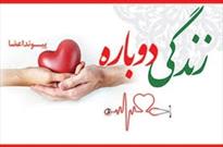 سمیرا احمدی به سه بیمار جان دوباره بخشید