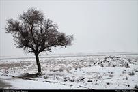 بارش برف زمستانی دراراک