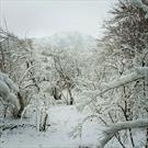بارش برف وباران در ۶ استان طی امروز