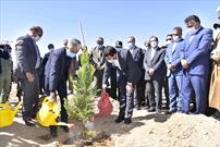 ‌گرامیداشت روز درختکاری با کاشت ۴ هزار نهال در ورودی شهر بیرجند