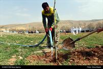 گزارش تصویری| مراسم گرامیداشت روز درختکاری و آیین کلنگ زنی باغ موزه هنر شیراز