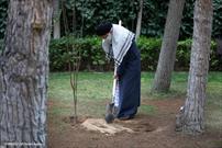 کاشت دو نهال میوه توسط رهبر انقلاب در روز درختکاری