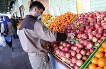 توزیع سیب و پرتقال با هدف تنظیم بازار شب عید در کوار