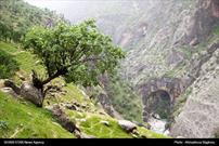 طبیعت زیبای روستای لندی در شهرستان اردل استان چهارمحال و بختیاری