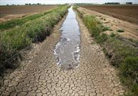 ناتوانی در مدیریت منابع آبی به کشاورزان بخش «کربال» در خرامه خسارت زده است