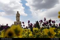 گزارش تصویری| سعدی در فضای شهری شیراز