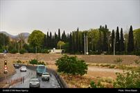 گزارش تصویری| «سروناز» شیراز