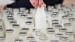 اجرای رزمایش مواسات با توزیع هزار بسته شیر در کانون کپورچال انزلی