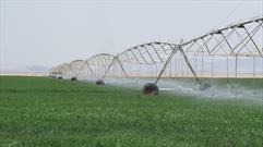 تجهیز ٨٨٠٠ هکتار از زمین های کشاورزی سیستان وبلوچستان به سیستم های نوین آبیاری