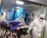 ۶۳  بیمار جدبد مبتلا به کرونا در بیمارستان های قزوین بستری شدند