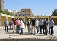 تجهیز ۵۲ مسجد و مدرسه به انرژی خورشیدی در «وادی الجدید» مصر