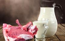 پیش بینی گیلان از میزان تولید شیر و گوشت قرمز در سال ۱۴۰۰