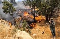 تلاش وزارت دفاع برای کنترل آتش جنگل های استان کهکیلویه و بویر احمد