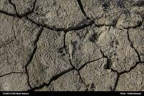 آبیاری نوین و غلبه بر بحران خشکسالی/ صرفه جویی، راهکار برون رفت از خشکسالی