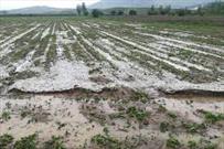 ‍  واردشدن خسارت به ۱۷ روستای آذربایجان غربی در اثر سیل و تگرگ