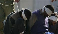 اعتصاب غذای ۱۱ اسیر فلسطینی در آستانه عید قربان