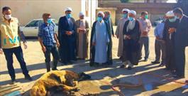قربانی ۷۰ رأس گوسفند در قربانگاه ابراهیمی شهرستان نکا