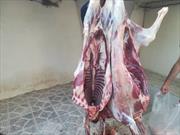 فعالان کانون فرهنگی هنری الهادی (ع) ۳ راس گوسفند برای نیازمندان قربانی کردند