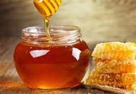 کاهش ۳۰ درصدی تولید عسل در سربیشه