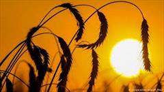 دمای هوا در ایلام افزایش می یابد