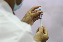 تزریق واکسن کرونا به ۳۸ درصد جمعیت نهبندان