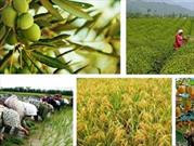 بهره برداری از ۴۴پروژه تولیدی و عمرانی بخش کشاورزی به بهره برداری می رسد